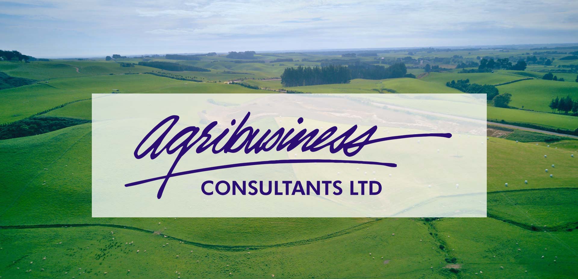 Welcome To Agribusiness Consultants Ltd